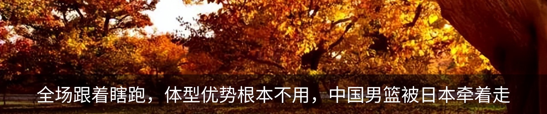 内页banner