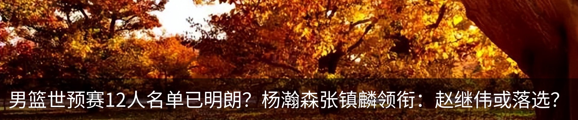 内页banner